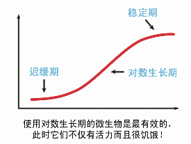 圖片2